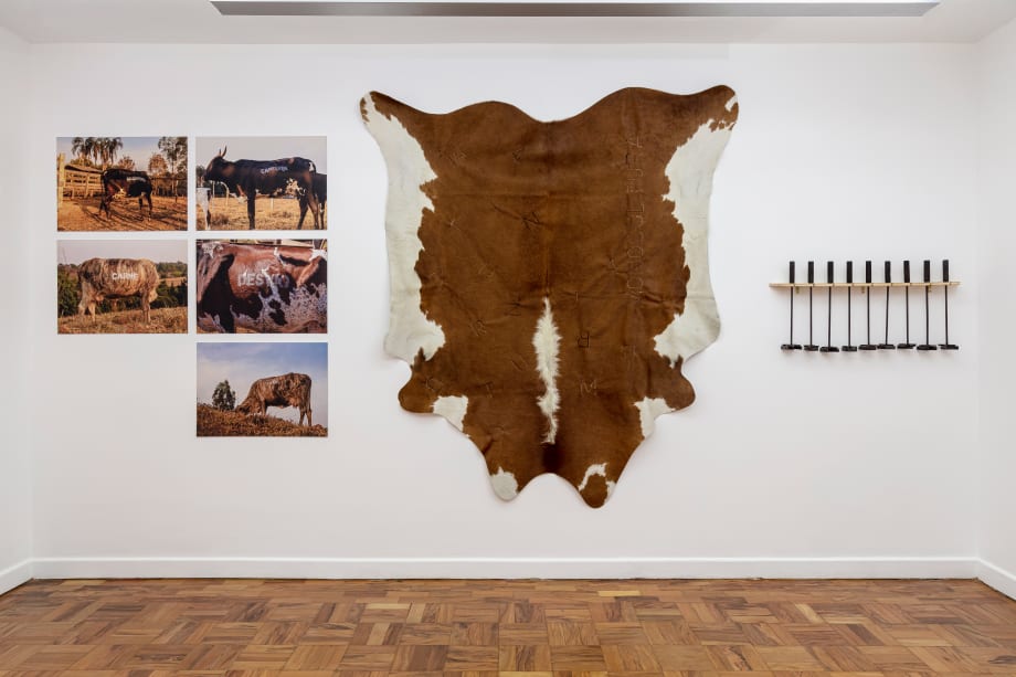 ABRE ALAS #17, Adriano Braga de Moraes, Monocultura, 2021