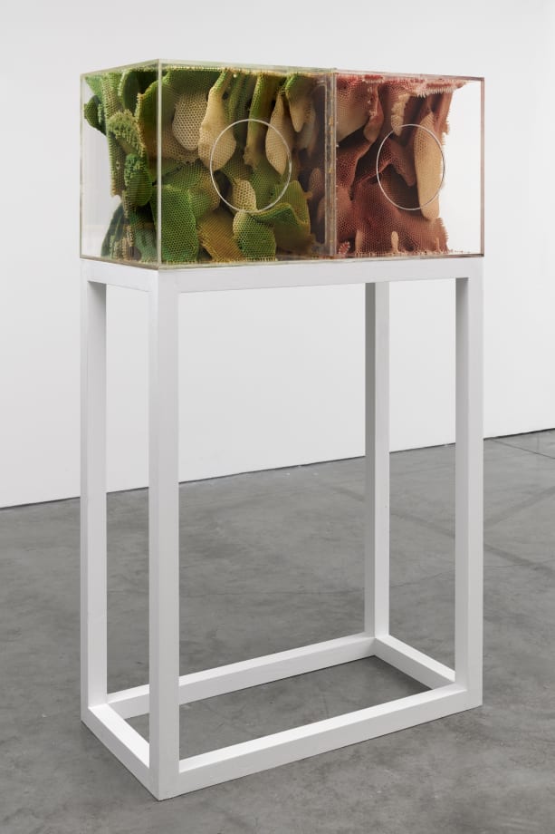 Ren Ri Overview Cob Gallery