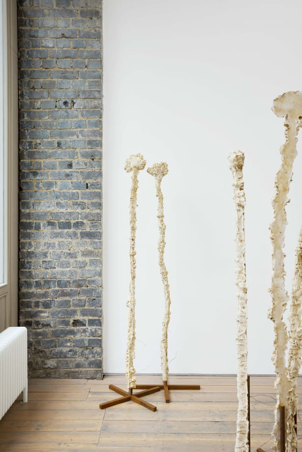 Jodie Carey, Guard, 2024