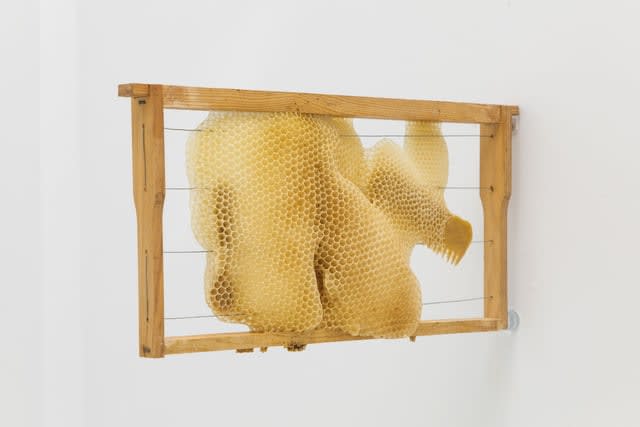 Laura Salguero, Oikos, 2021