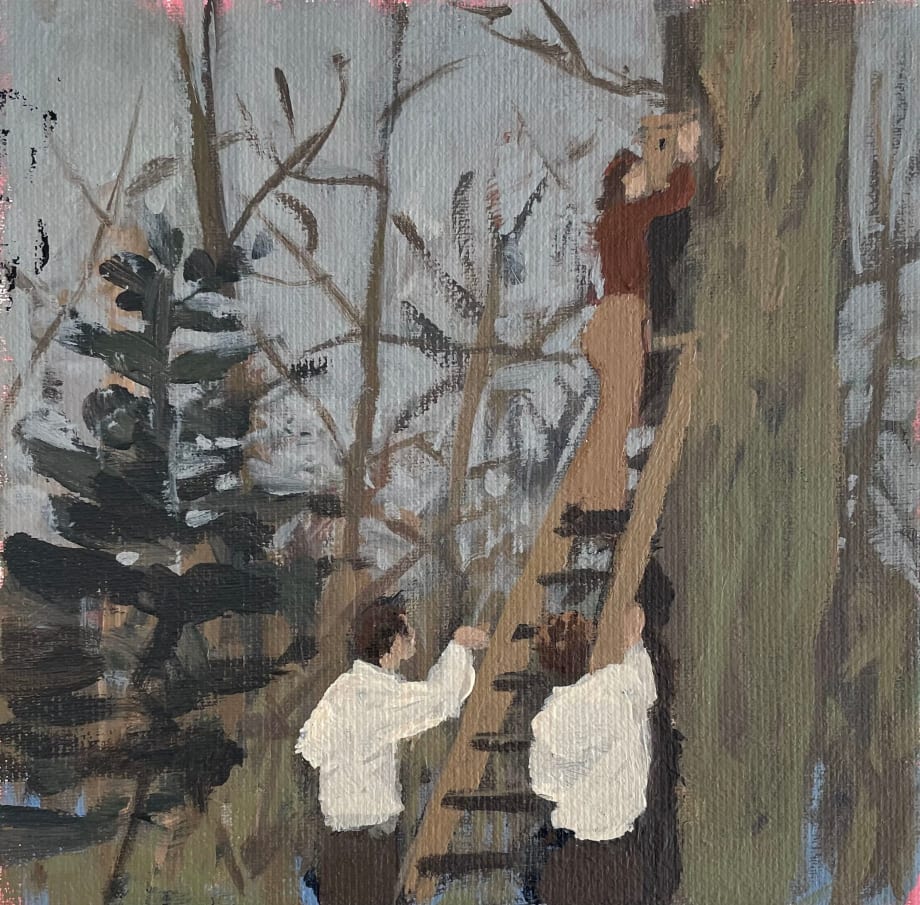 Seeger Baas, The Birdnest, 2023