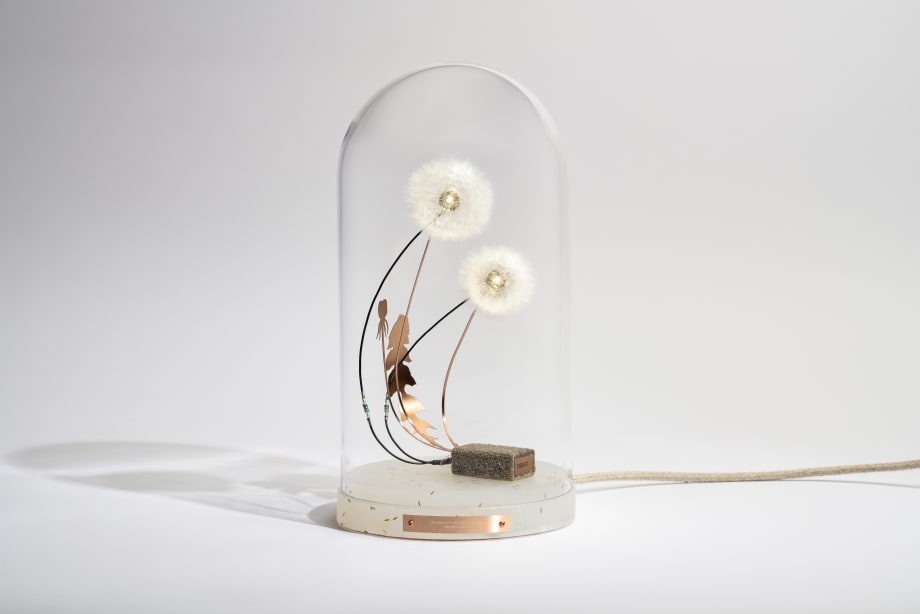 DRIFT Dandelight Special - the Fertile Edition, 2023 Real dandelion seeds glued to LED, phosphorous bronze, translucent resin with dandelion seeds, Jute and Sand 28 cm x 14 cm x 14 cm Edition of 100
