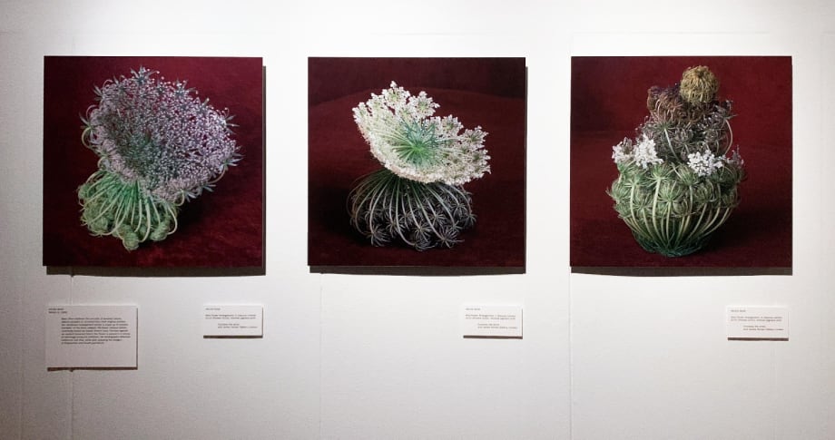 Helen Sear, Wild Flower Arrangement (Unique Exhibition Set of Three), 2015