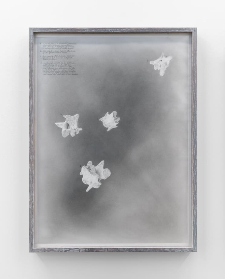 Nate Young Causal Loop, 2020 graphite on paper and acetate, oak artist-made frame 31 x 23 x 2 in. 78.7 x 58.4 x 5.1 cm