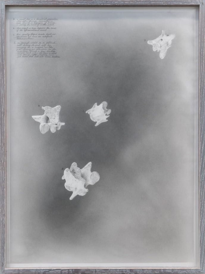 Nate Young Causal Loop, 2020 graphite on paper and acetate, oak artist-made frame 31 x 23 x 2 in. 78.7 x 58.4 x 5.1 cm