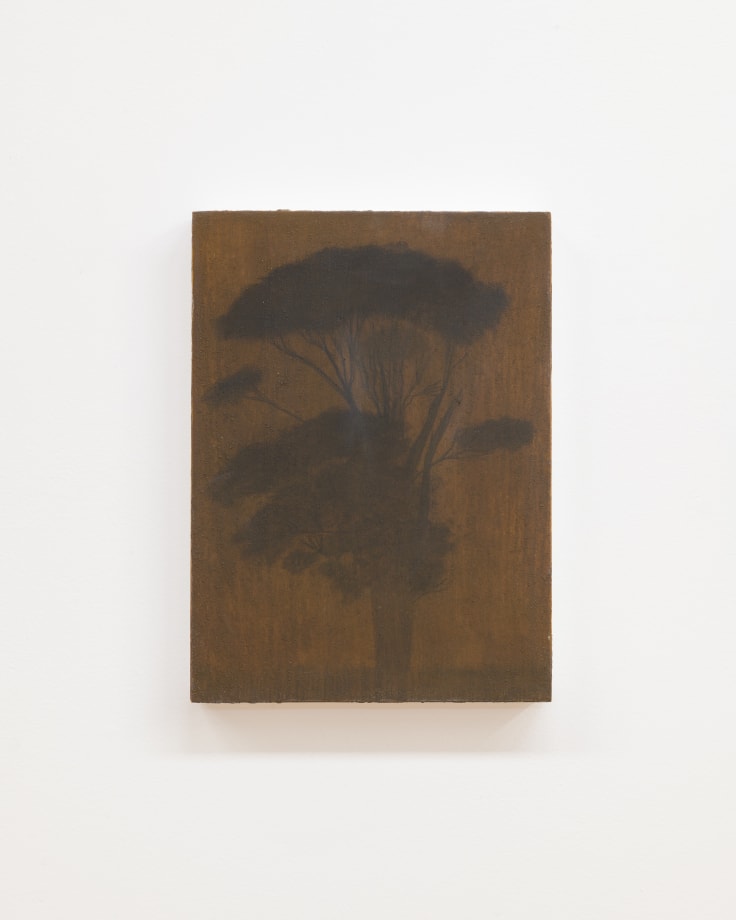 Aroha Gossage Tōtara, 2024 oil on board 340mm x 250mm