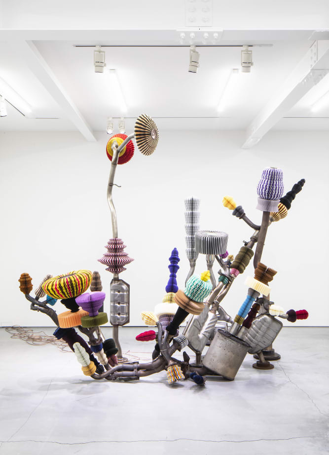 Keita Miyazaki, Draft of Species, 2019