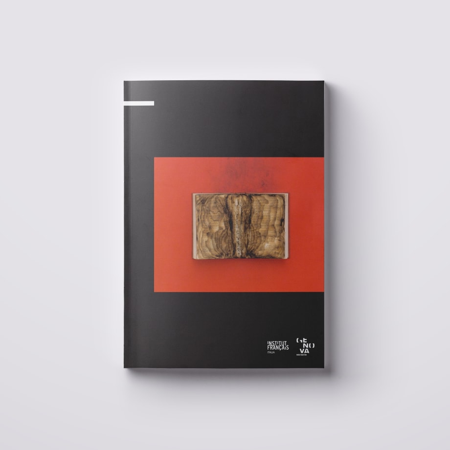 Bernard Aubertin Situazione pittorica del rosso cover