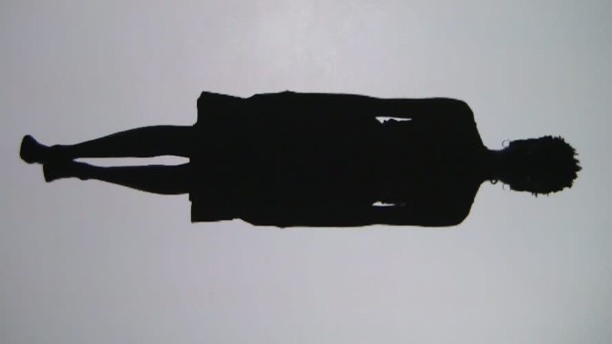 Sondra Perry: Black Girl As A Landscape at Monique Meloche Gallery, Chicago