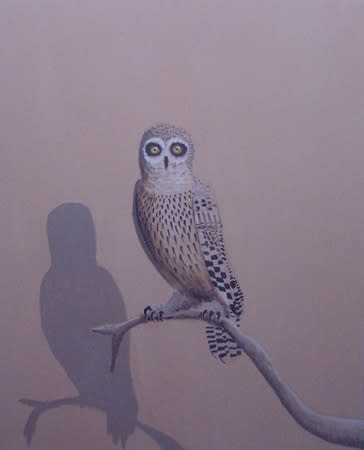 Joe Baldwin, Owl with Shadow, 2002 oil on canvas 50 x 40 in. 127.0 x 101.6 cm
