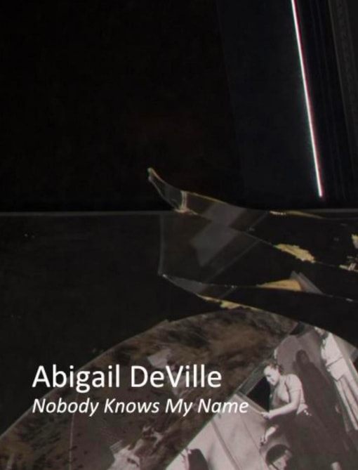 Abigail DeVille: Nobody Knows My Name , February 7-May 30
