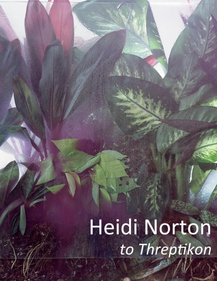 Heidi Norton: to Threptikon, February 6-March 29