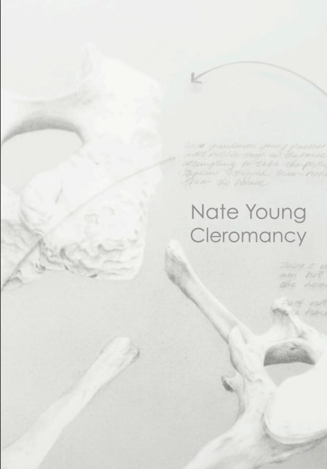 Nate Young: Cleromancy , September 9-November 4