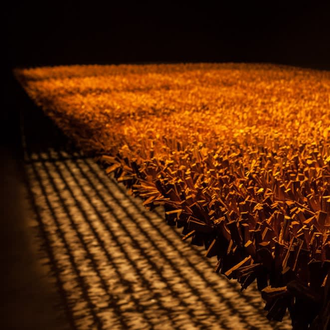 My Art Guides: José Bento solo show