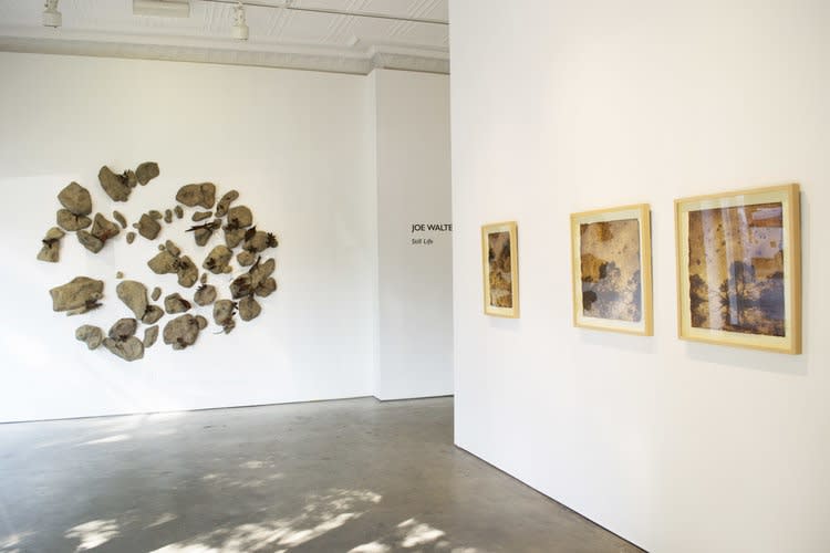 Still Life, Joe Walters