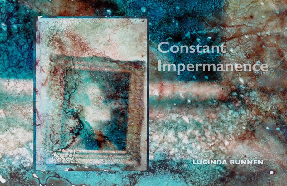 Lucinda Bunnen Constant Impermanence Book weathered chrome series 2020