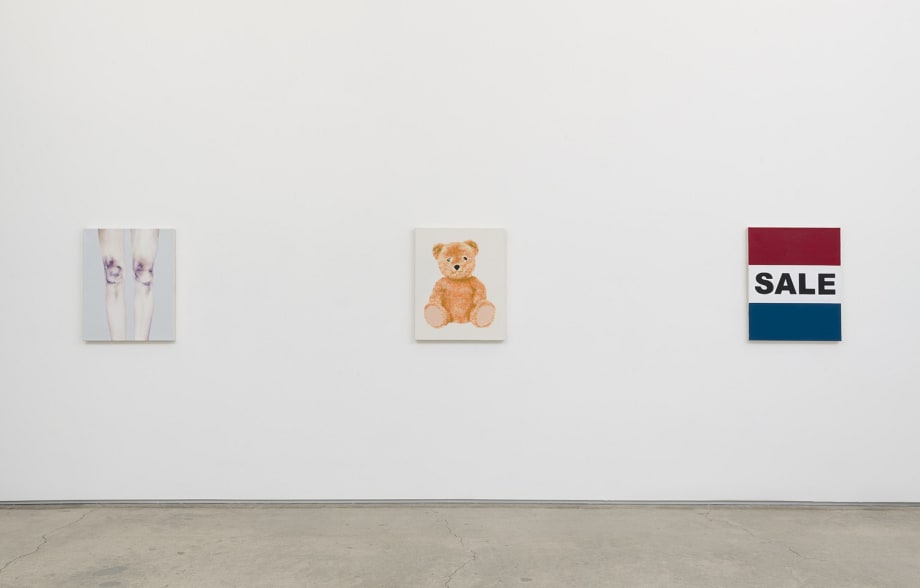Michael St. John, Portraits of Democracy