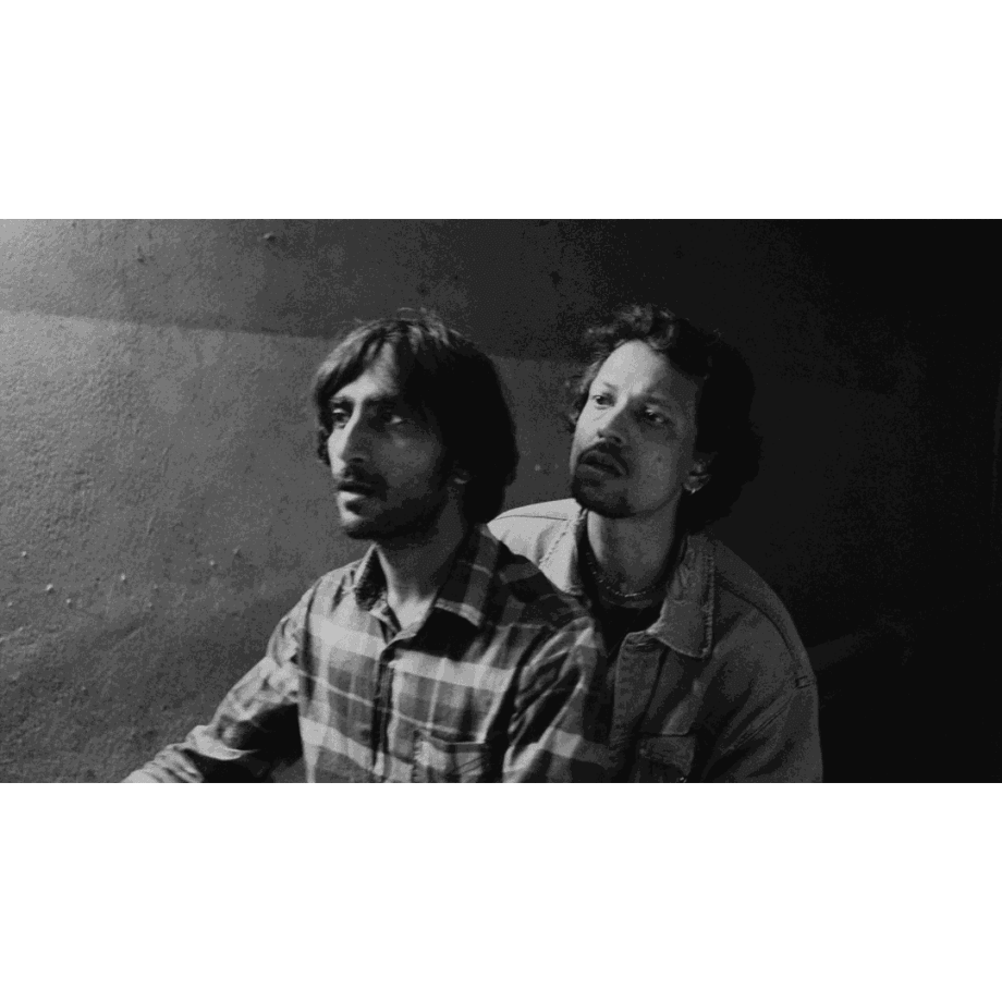 Second Screening of Cat Sticks at TARQ