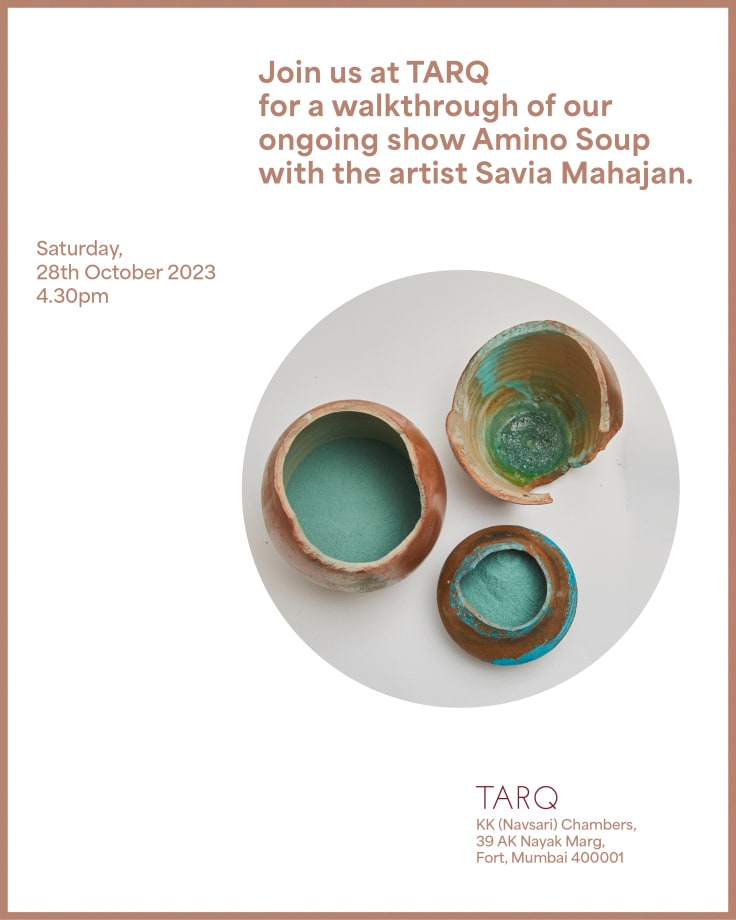 Exhibition Walkthrough with Savia Mahajan