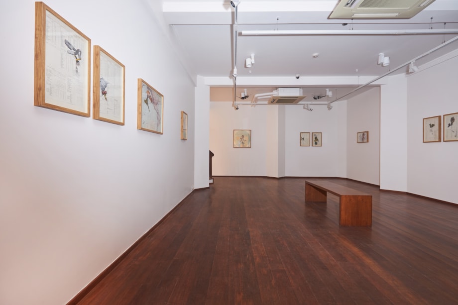 Appropriation Disinformation- Nature and the Body Politic, Apnavi Makanji