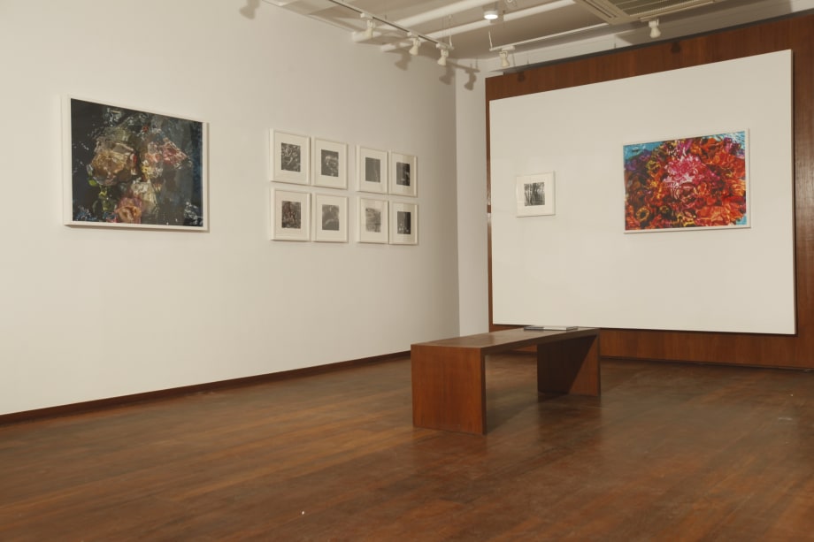 Gardens of the Mind, Gilles Bensimon, Swapan Nayak