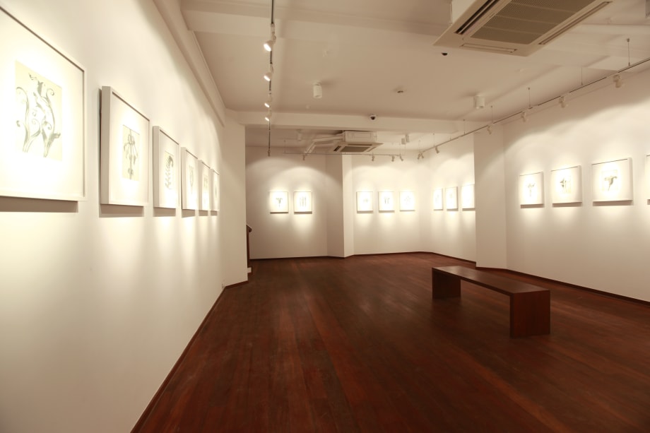 Art Forms in Nature, Karl Blossfeldt