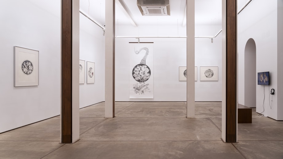 The Ecology of Modern Romance and Other Deaths: Apnavi Makanji