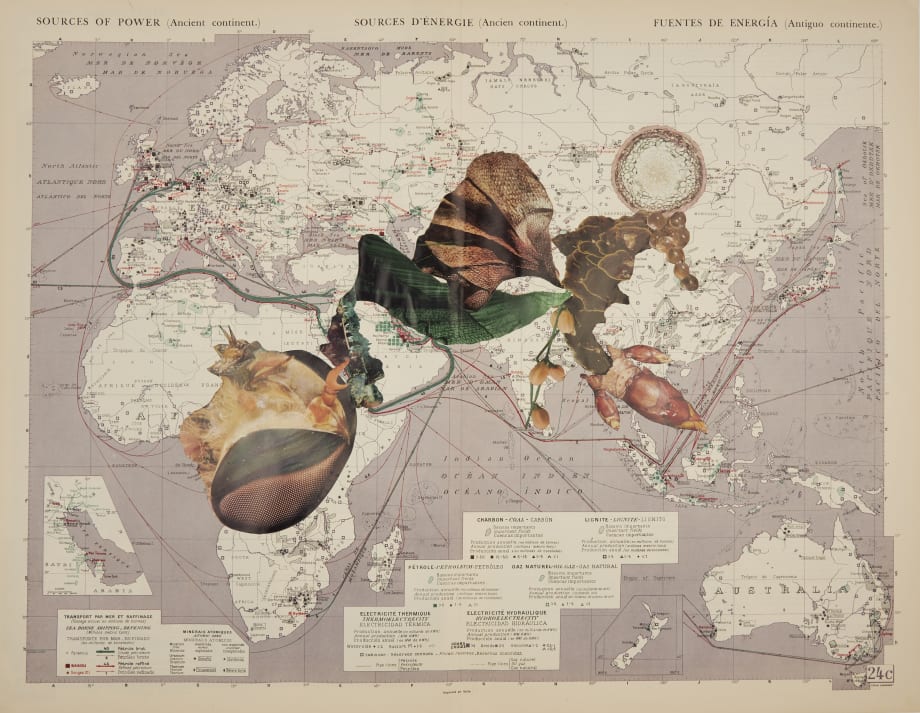 Apnavi Makanji, Appropriation Disinformation- Nature and the Body Politic, 2020