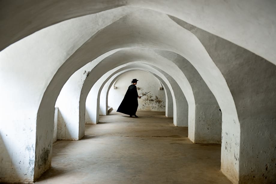 Clare Arni, La Pantera 1, 2017