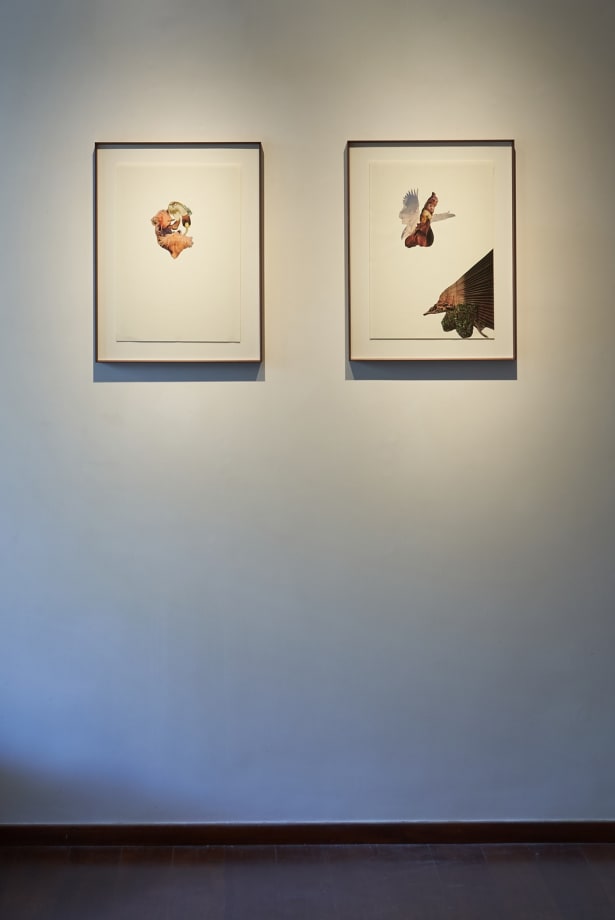 8 must-see shows at the ongoing Mumbai Gallery Weekend 2023