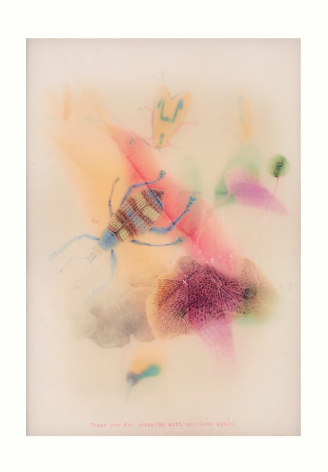 Garima Gupta, Thank you for shopping with us! 01, 2020