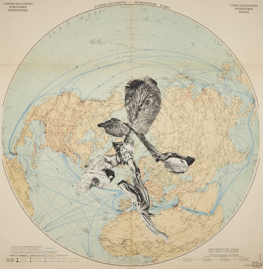 Apnavi Makanji, Appropriation Disinformation- Nature and the Body Politic, 2020