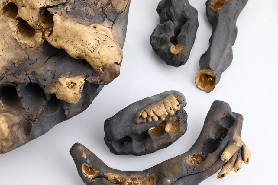 Savia Mahajan, Exhume, 2017