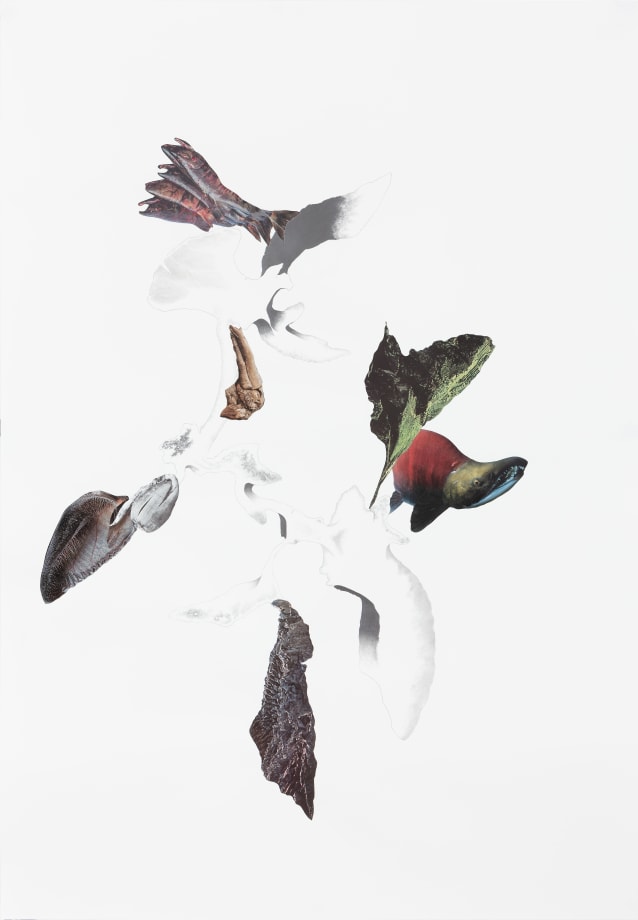 Apnavi Makanji, Drawng Breath LXXIV, 2020