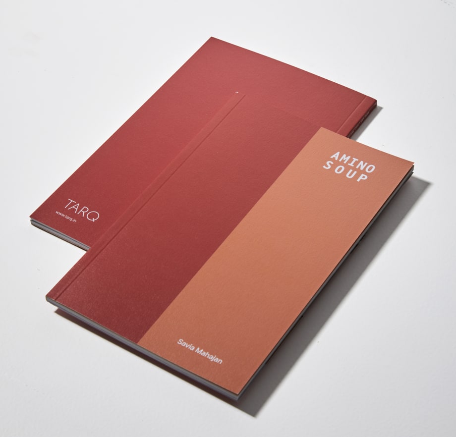 Amino Soup , Savia Mahajan: Sculptures and Drawings