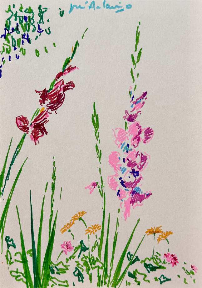 José Antonio Zárate, #2 (Series 'Jardín')