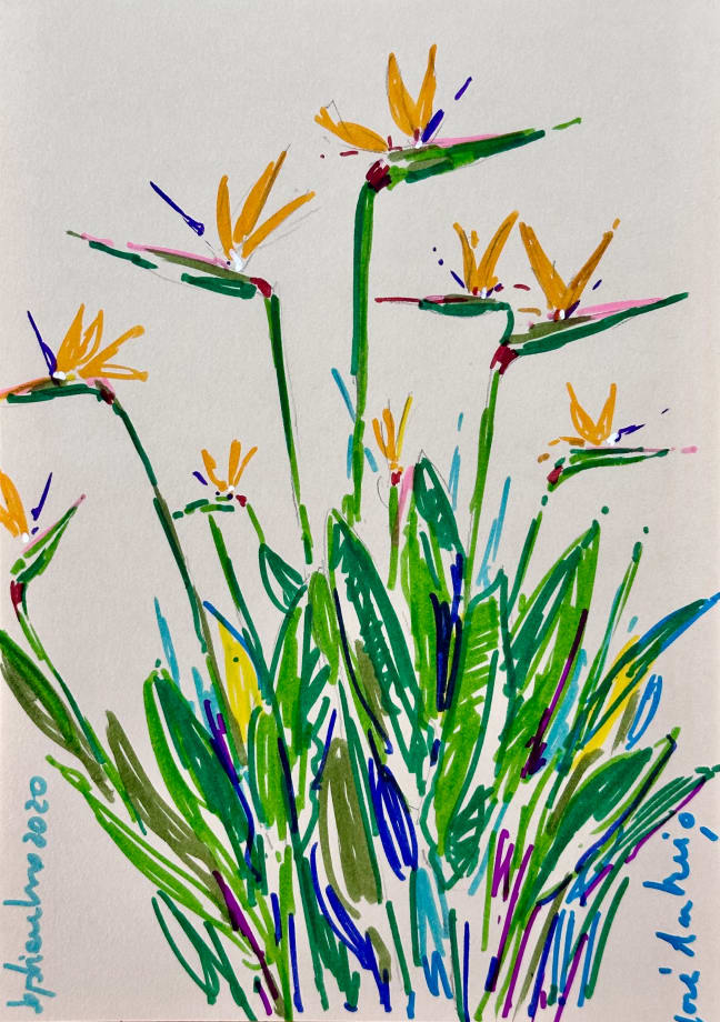 José Antonio Zárate, #3 (Series 'Jardín')