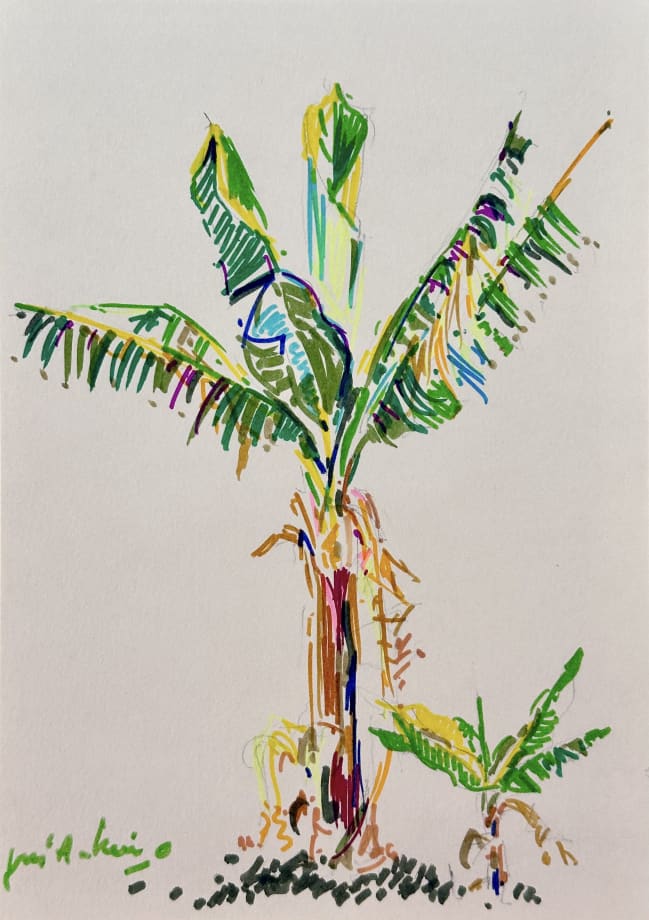 José Antonio Zárate, #4 (Series 'Jardín')