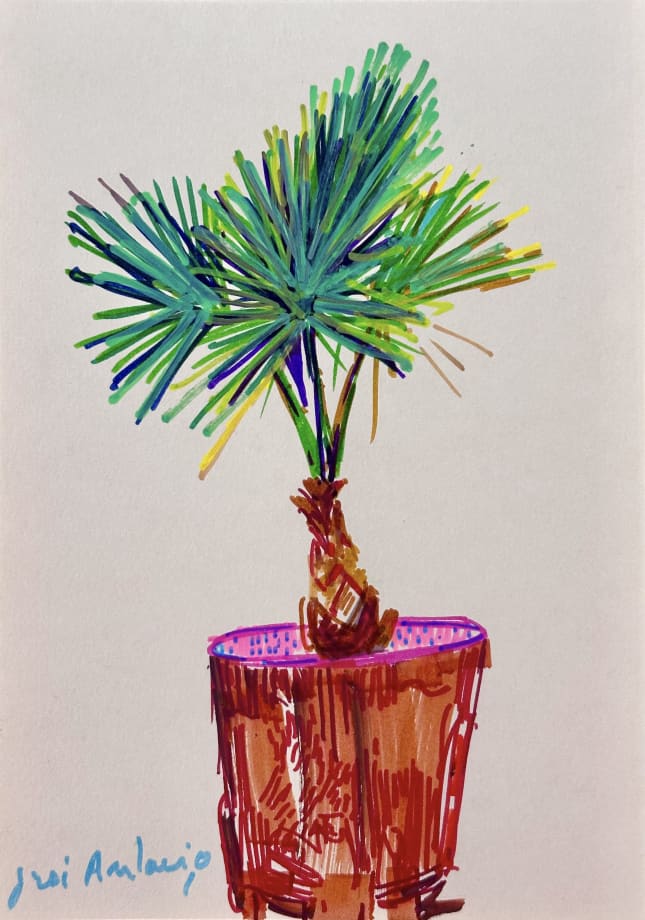 José Antonio Zárate, #5 (Series 'Jardín')