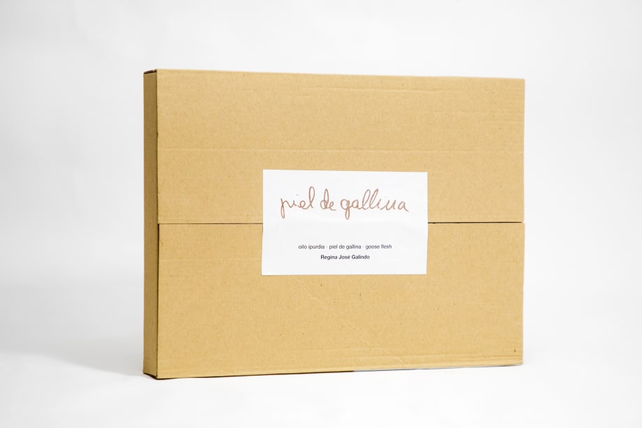 Piel de Gallina, Regina José Galindo