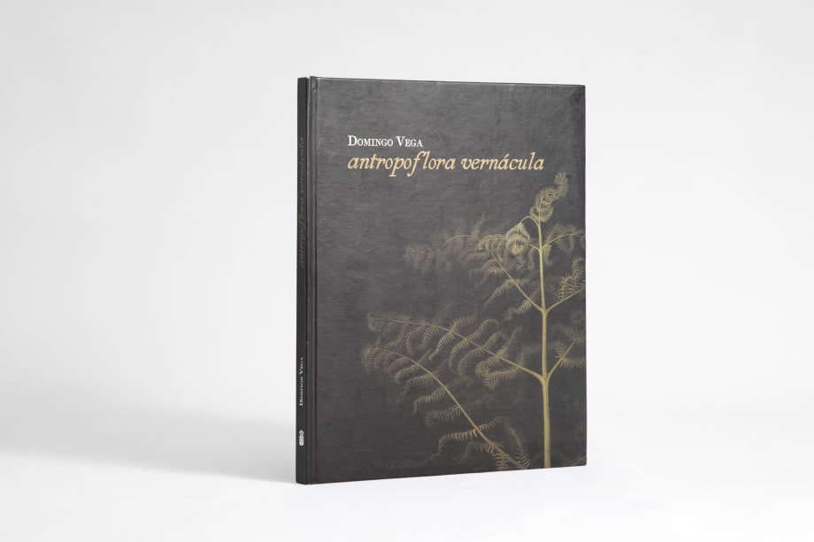 Antropoflora Vernácula, Domingo Vega