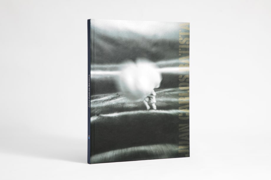 Juan Carlos Batista, El animal inconsolable