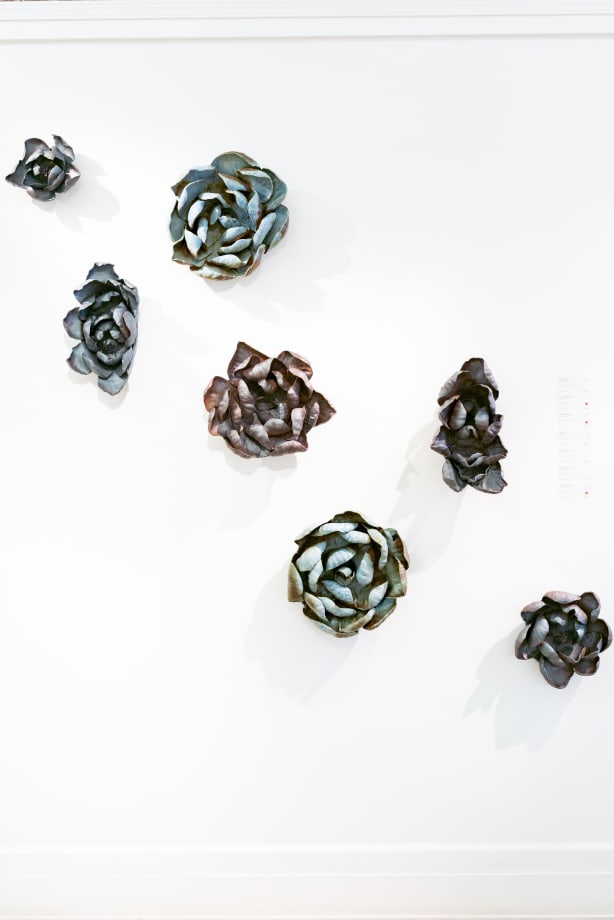 Efflorescence | Dana Flores & Christopher Peter, Exhibition Opening | September 1st, 5-8pm