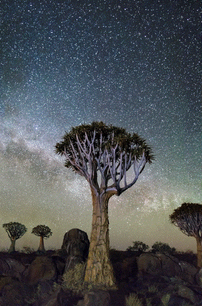 Mountainfilm Pop-Up with Beth Moon and Ryan Neil, Exhibition Opening | May 26th 4pm-7pm