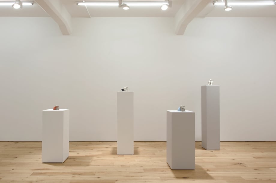 Áslaug Íris Katrín Friðjónsdóttir, Yfirborð / Surfaces - Hverfisgallerí