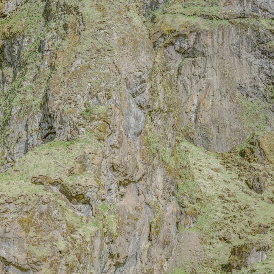 Didier Goupy, Naissance de la Couleur / Fæðing litar