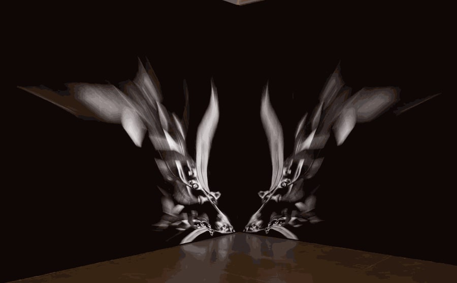 Jenna Lee: Of Smoke and Rain' at the Northern Centre for Contemporary Art (NCCA)