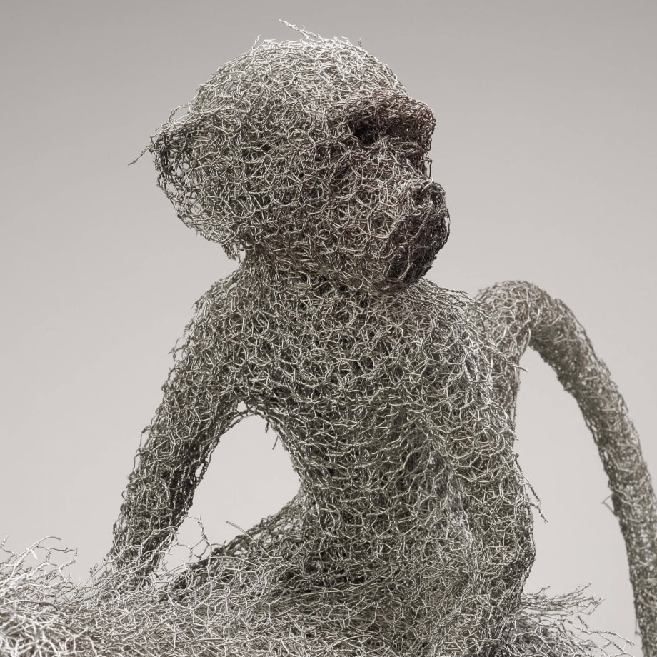 Baboon Mother and Infant