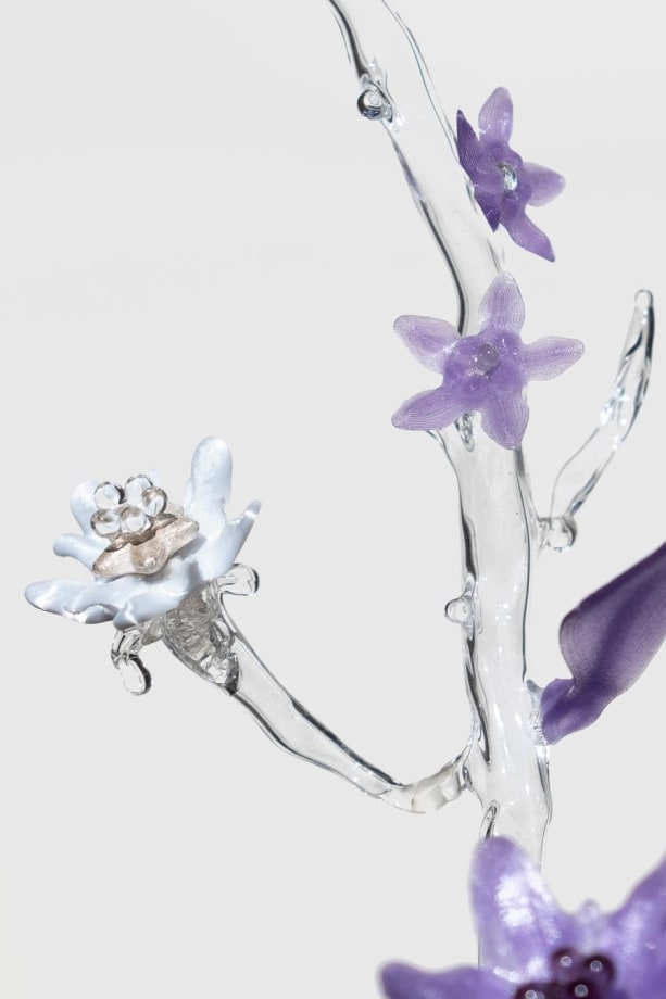 As Bloom Begins, Tosja van Lieshout, Clara Schweers, Delphine Lejeune, Kurina Sohn and Sun Lee