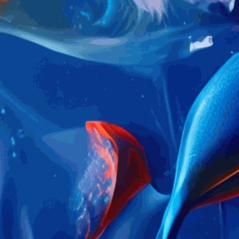 Medina Kasimova and .ART Registry